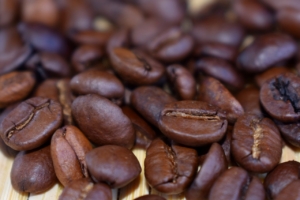arabica kaffeebohnen aussehen