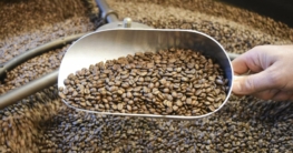 kaffee rösten header