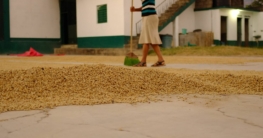 kaffeeaufbereitung header