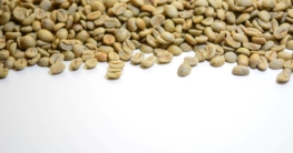 grüner kaffee header
