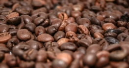 einbau kaffeevollautomat header