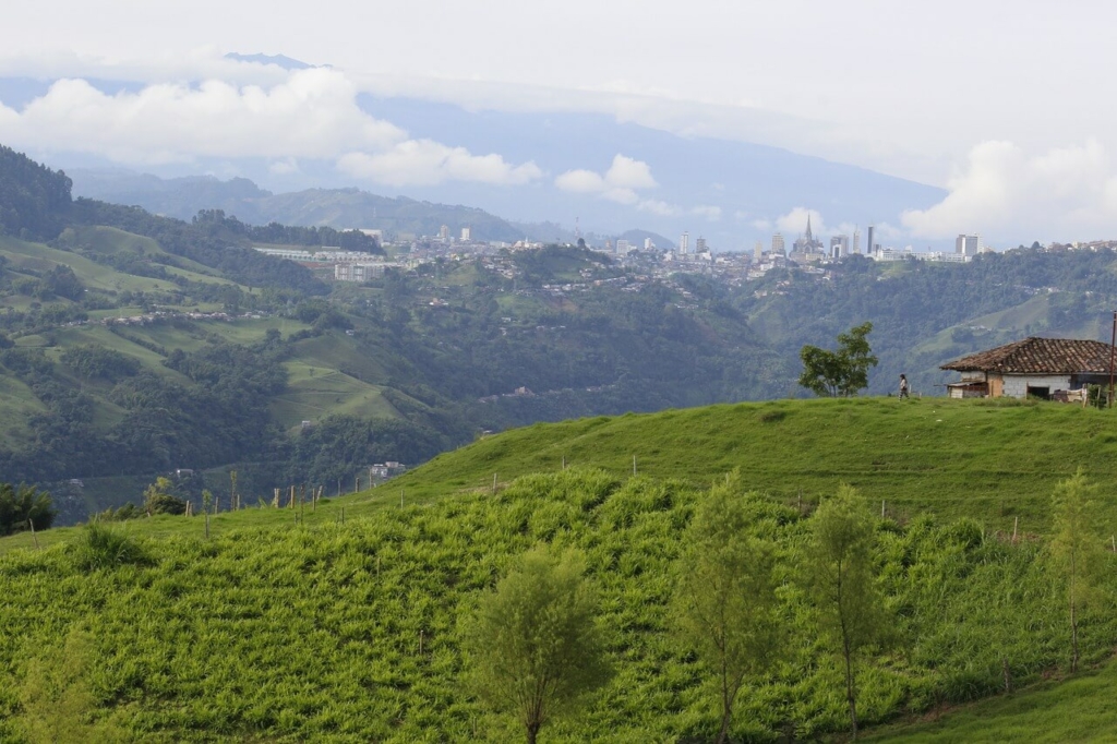höhenlagen kaffee kolumbien