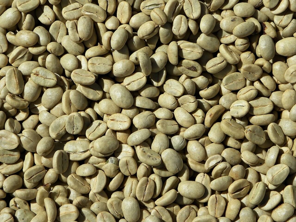 grüner kaffee jemen