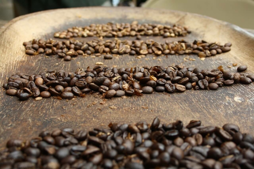 kaffeebohnen panama