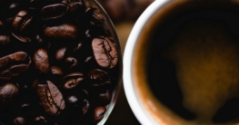 melitta vollautomaten header