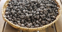 robusta kaffeebohnen